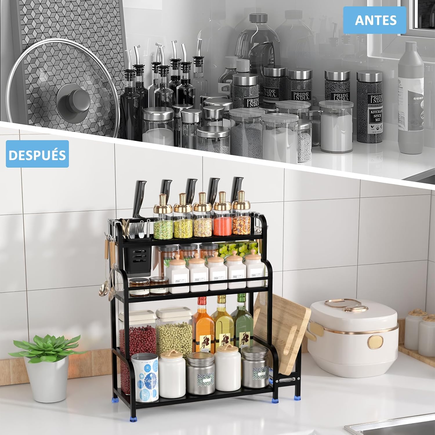 Organizador para especias de cocina